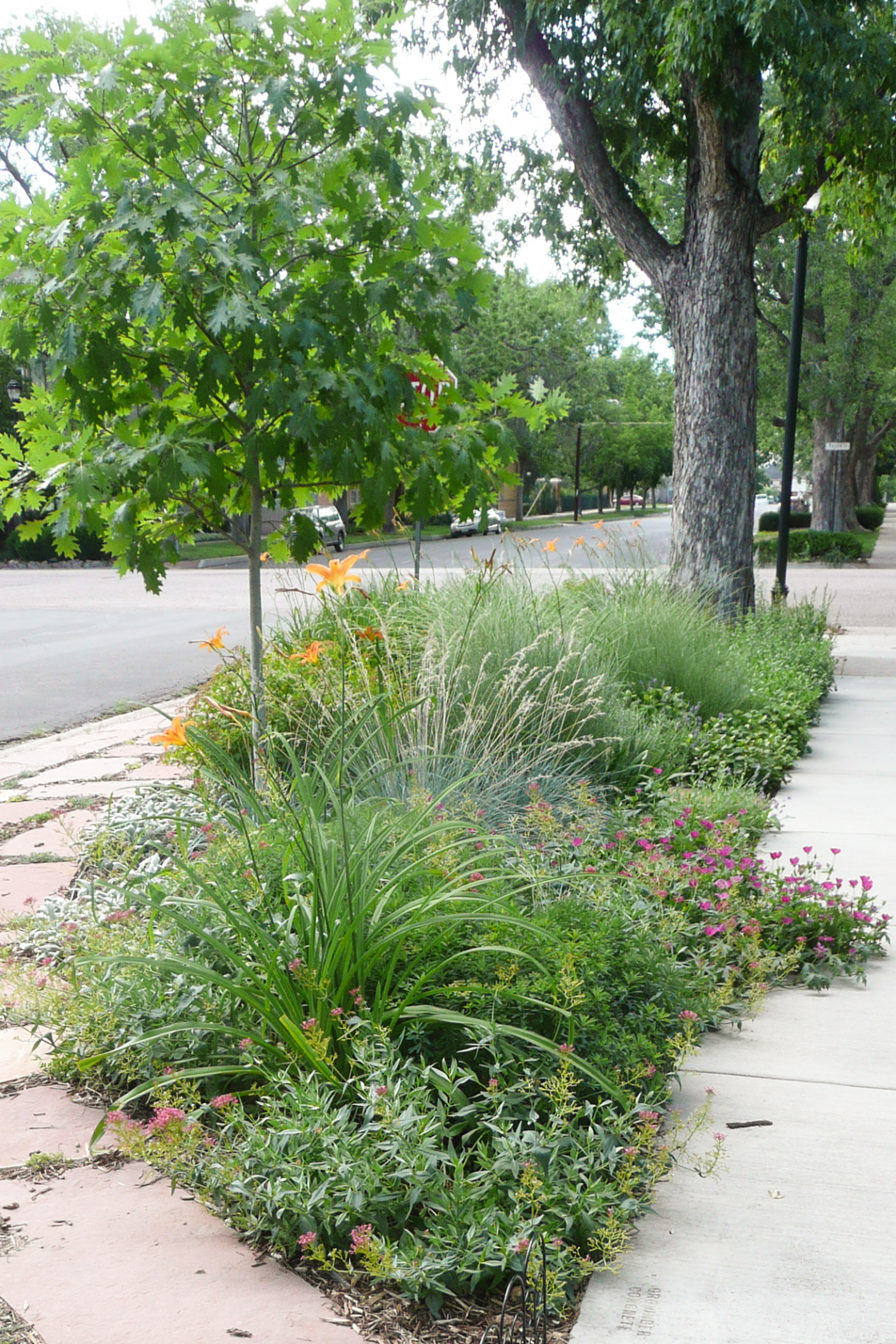 Flagstone and Flowers